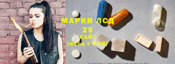 ПСИЛОЦИБИНОВЫЕ ГРИБЫ Горнозаводск