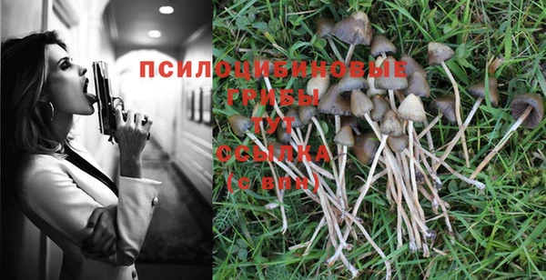 мет Гусиноозёрск